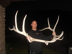 Gotta love big sheds...